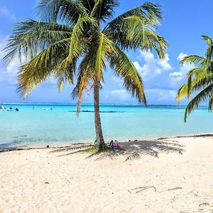  Hébergement de vacances Moorea - Tropical Soul